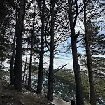 La Pinilla