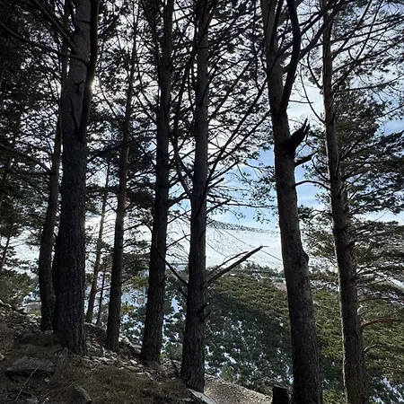 La Pinilla